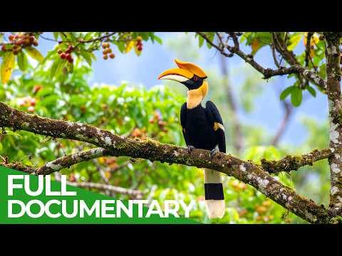 Regenerative Agriculture Explained — Our Approach